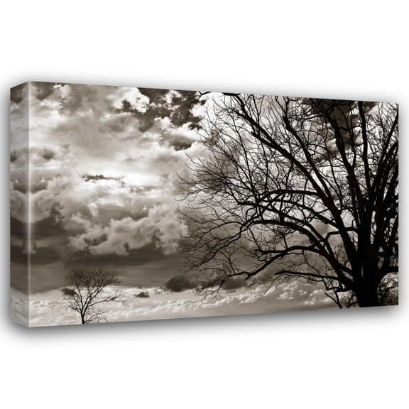 Alan Hausenflock 24x17 Gallery Wrapped Canvas Wall Art Titled - Approaching Storm I