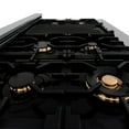 thumbnail image 5 of ZLINE KITCHEN AND BATH RTSZ48G grsurf, 5 of 5
