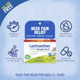thumbnail image 4 of Boiron Lachnanthes Tinctoria 6C Bonus Pack, Homeopathic Medicine for Stiff Neck With Cramping, 240 Pellets, 4 of 8