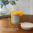 thumbnail image 4 of Better Homes & Gardens Grapefruit & Yuzu Scented 2-Wick 12oz Iridescent Jar Candle, 4 of 6