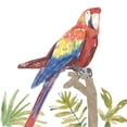 thumbnail image 2 of Bannarot 26x26 Black Ornate Wood Framed with Double Matting Museum Art Print Titled - Tropical  Parrot, 2 of 4