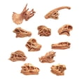 thumbnail image 1 of Animales antiguos cabeza esqueleto modelo cráneo juguetes educativos huesos decoración Wmkox8yii  shdjk1008, 1 of 1
