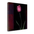 thumbnail image 2 of Tangletown Fine Art Red Tulip II by Rick Filler Poster Frame - 20 x 20 x 1.5 in., 2 of 2