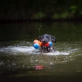 thumbnail image 2 of Juguete para perros Chuckit! Amphibious Tri-Bumper Fetch, tamaño mediano, 2 of 9