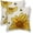 Sunflower Bee, variant on Summer Pillow Covers 18x18 Set of 2, Yellow Lemons Polka Dots Decorative Throw Pillow Cases Watercolor Summer Seasonal Linen Decorations for Home Bed Car Spring Decor