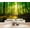 Color 4, variant on Wallpaper Watercolor Pine Forest Misty Mountain Landscape Soft Green Peel and Stick Wall Murals 69"H x 96"W Removable PVC Wall Paper Self-Adhesive Wall Paintings Art Decor for Bedroom Living Room