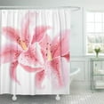 thumbnail image 1 of Cortina de Ducha ABPHQTO Flores Rosas Stargazer Lirios Acuarela Blanco Tropical 160x180 cm, 1 of 1
