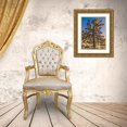 thumbnail image 3 of Perry, Rachel 19x24 Gold Ornate Wood Framed with Double Matting Museum Art Print Titled - Views of Joshua Tree II, 3 of 4