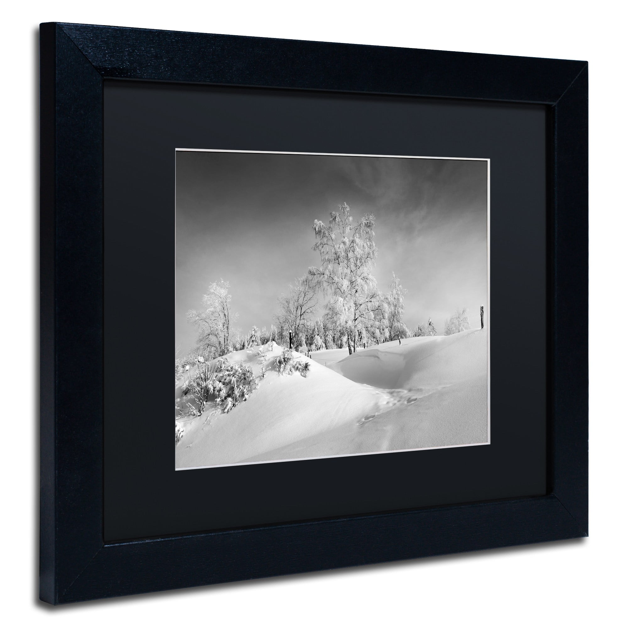 Trademark Fine Art "Dressed For Winter B&W" Canvas Art by Philippe Sainte-Laudy, Black Matte, Black Frame