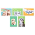 thumbnail image 3 of American Greetings 15-Count Blank Cards and Envelopes Assortment Box, Funny Cats, 3 of 7