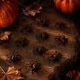 thumbnail image 6 of Qocolcyl 10 PCS Realistic Fake Spiders Halloween Decor, Black & Glow In Dark Mini Plastic Spider Props, Scary Prank Ornaments for Party Yard Window Indoor Outdoor Trick Or Treat Decor,Black, 6 of 8