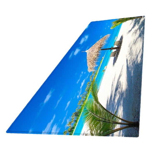 GUOOL Dining Room Bedroom Decor Beach Vacation Carpet Door Mat Area Rug 120x40cm Color Color 11