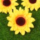 thumbnail image 4 of WEUVEB 9Ud Flores Artificiales De Girasol En Tela Para De Hogar Y Eventos Amarillo, 4 of 5