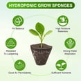 thumbnail image 2 of Uxcell 50-Pack Grow Sponges, 1.3x0.6x1.2 Inch Replacement Root Growth Sponges Seed Pods for Plant Rooting/Seed Germination, 2 of 6