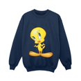 thumbnail image 1 of Looney Tunes Boys Tweety Standing Sweatshirt, 1 of 3