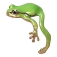 thumbnail image 5 of Callipe Frog Ring Cute Colorful Adjustable Tree Frog Rings Handmade Fun Jewelry Perfect Unique Gift Cute Animal Rings for Beach Summer Party., 5 of 8
