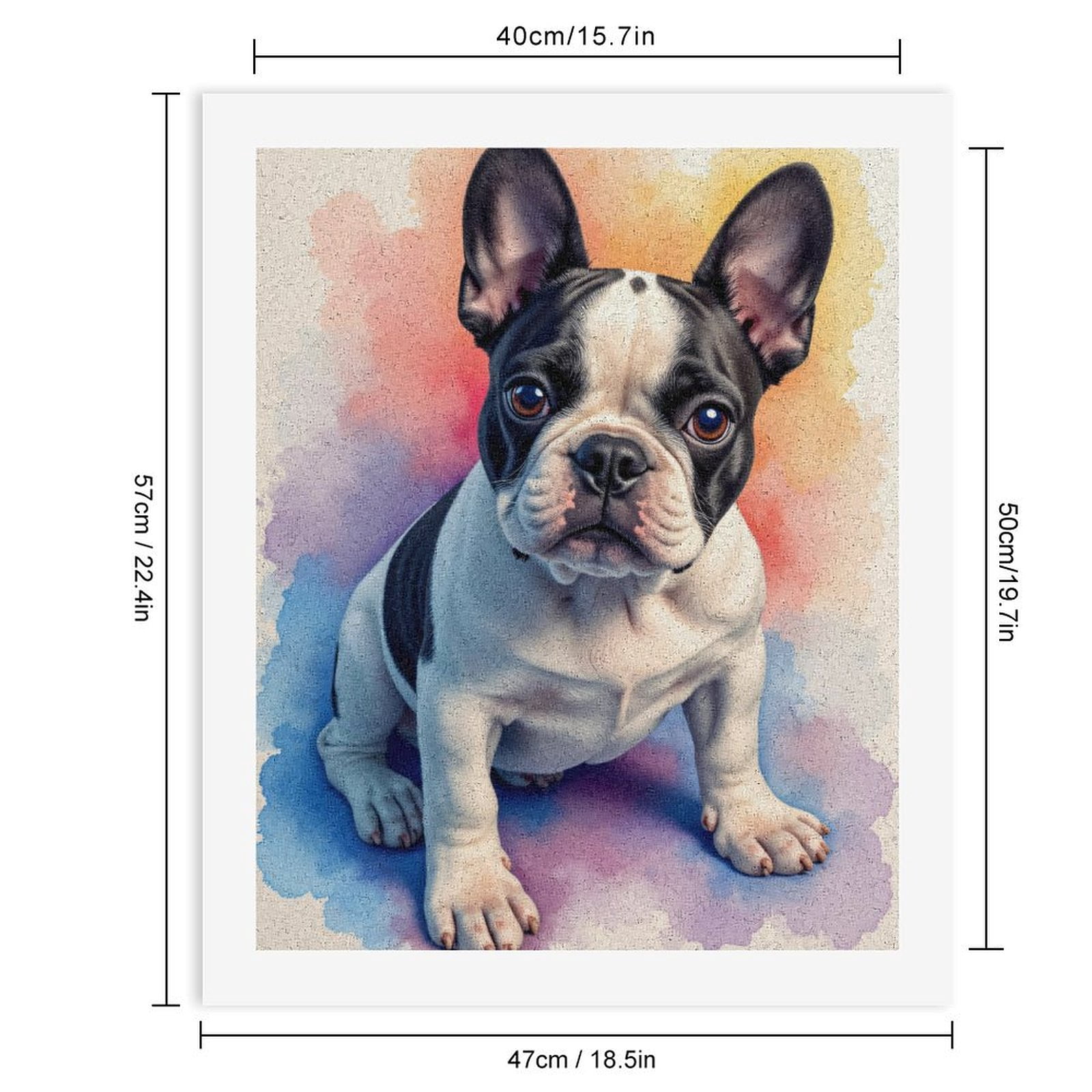 Paint by Numbers Kit for Adults, French Bulldog Watercolor Portrait Paint by Numbers, Easy Paint by Numbers Kit for Adults Beginner, DIY Adult Paint by Number Kits on Canvas, Home Decor