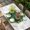 Green White, variant on St Patricks Day Table Cloths for 8 Foot Rectangle Tables, Spring Gold Coin Green Shamrock on Linen Patio Waterproof Elastic Fitted Tablecloths, Washable Rectangular Table Cover for Camping