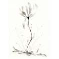 thumbnail image 2 of Randy Noble Fine Art 12x14 White Modern Wood Framed Museum Art Print Titled - Grow On, 2 of 4