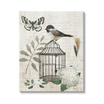 Stupell Industries Botanical Bird Cage Vintage Words Butterfly Motif Graphic Art Gallery Wrapped Canvas Print Wall Art, Design by Nan