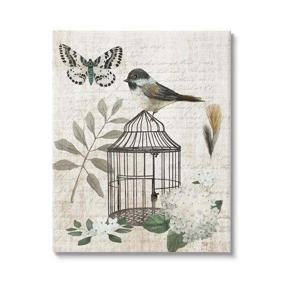Stupell Industries Botanical Bird Cage Vintage Words Butterfly Motif Graphic Art Gallery Wrapped Canvas Print Wall Art, Design by Nan