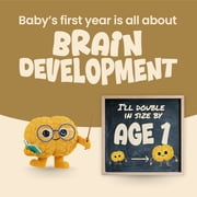 (4 pack) Enfamil NeuroPro Ready to Feed Baby Formula, Brain Building Duo DHA & MFGM, 32 fl oz