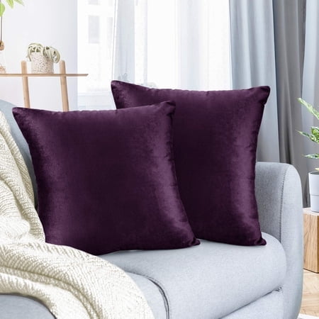 Nestl Housses de Coussin Décoratives en Velours pour Extérieur 16 x 16 Pouces, Housses de Coussin Douces pour Canapé, Lit et Voiture, Ensemble de 2 - Aubergine