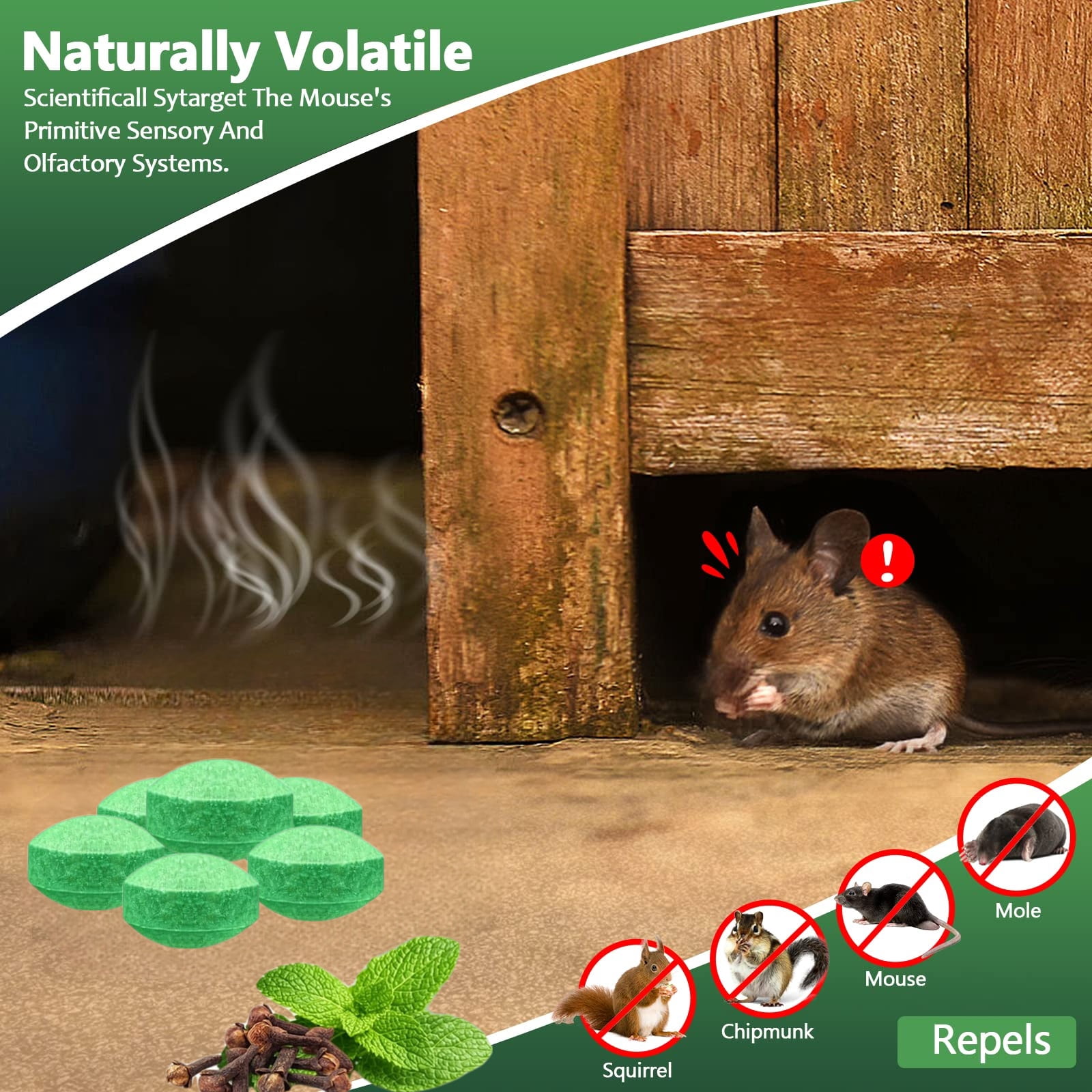 PestControl Pouches - All Natural - RepelsRodents, Silverfish, Spiders, Roaches, Ants, Squirrels, & Other Pests