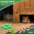 thumbnail image 4 of PestControl Pouches - All Natural - RepelsRodents, Silverfish, Spiders, Roaches, Ants, Squirrels, & Other Pests, 4 of 5