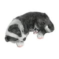thumbnail image 4 of Puppy Statues Sculptures, Border Collie Statue Cute Synthetic Resin Durable  For Home, 4 of 8