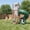 2 Belt Swings, variant on Swing Sets for Backyard with Turbo Tube Slide for Kids 3-8+ All in 1 Kids Outdoor Play Playhouse Equipment with Swings, Climbing Ladder, Sandbox, Basketball Hoop, Outdoor Large Playset for Toddlers