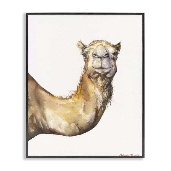 Stupell Industries Southwestern Camel Side Portrait Desert Animal Tan White Black Framed Giclee Art, 11 x 14, by George Dyachenko