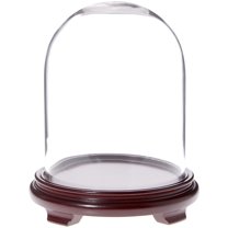 Plymor 8" x 10.25" Glass Display Dome Cloche (Red Wood Veneer Footed Base)
