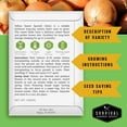 thumbnail image 3 of 2 packs Yellow Sweet Spanish Onion Seed - Long-Day Onions - Heirloom Biennial Full Sun Vegetable, 3 of 8