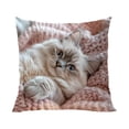 thumbnail image 2 of CaiYueKe Cute Pet Pillowcase Hidden Zipper Decorative Throw Pillow Cover Soft Plush Cuddly Pillow Case for Home Bedroom Living Room Sofa Office Decor Gift, 2 of 7