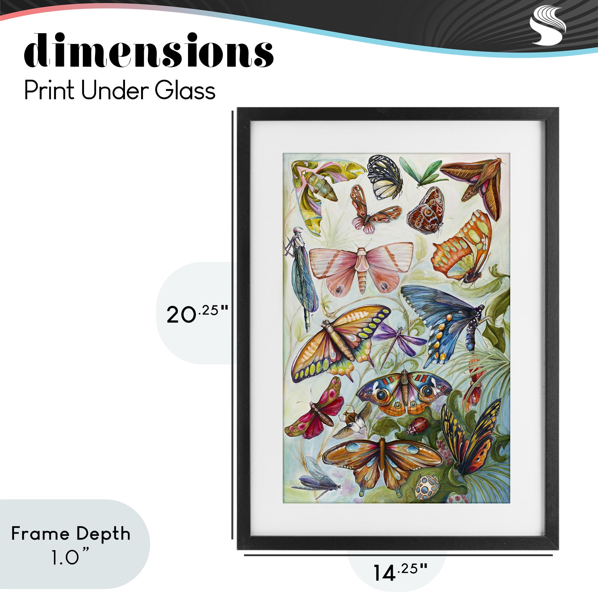 Stupell Industries Colorful Butterfly Conservatory Black Framed Print Under Glass, design by Diannart