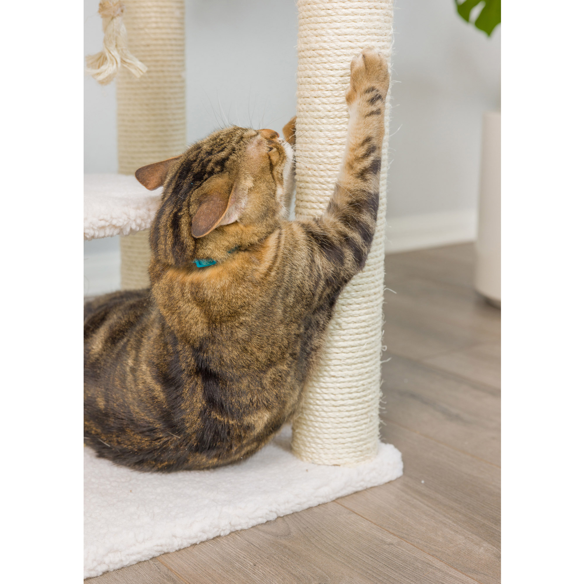 Armarkat 78-in real wood Cat Tree & Condo Scratching Post Tower, Beige - image 5 of 10