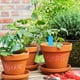 thumbnail image 5 of 100 Unidades De Etiquetas De Plástico Etiquetas Para Jardín Etiquetas Para Jardinería Etiquetas Para Suelo, 5 of 7