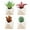 type:style4;, variant on 4pcs simulation succulent potted plants creative decoration small triangle bonsai indoor artificial decoration green plants - type:style4;