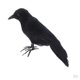 thumbnail image 1 of Pájaros de de Emplumados Artificiales para Exhibiciones de Artesanía Y Más Decoración, 1 of 9