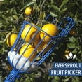 thumbnail image 4 of EVERSPROUT 12-Foot Fruit Picker, 4 of 9