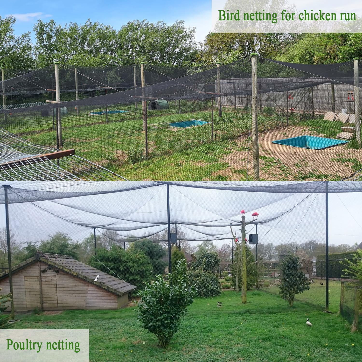 Bird Netting for Chicken Coop 30x30Ft, 1/2" Mesh, Strong Woven Poultry Netting Roof Cover for Chicken Run, Heavy Duty Bird Net for Fruit Trees, Blueberry, Vegetables, Garden Protection