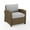 Gray & Weathered Brown, variant on Crosley Furniture Bradenton 18.5" Wicker / Rattan Outdoor Armchair in Gray/Brown