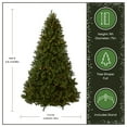 thumbnail image 5 of National Tree Company 9 ft Pre-Lit Downswept Douglas Fir Artificial Christmas Tree, 900 LED Lights, 3,185 Tips, Foot Pedal, 10 Light Functions, Includes Stand, Green, 5 of 10