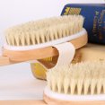 thumbnail image 4 of Brosse pour le Corps, avec Poils Confortables, Brosse de Bain, 4 of 7