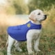 thumbnail image 3 of Chaleco acolchado Desiderio para perros: chaqueta polar cálida con cremallera para perros, 3 of 5