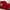 Red, variant on Levtex Home - Merano Quilt - Full/Queen - Quilted Velvet - Seafoam Green - Quilt Size (88x92in.) - Polyester Velvet and Microfiber