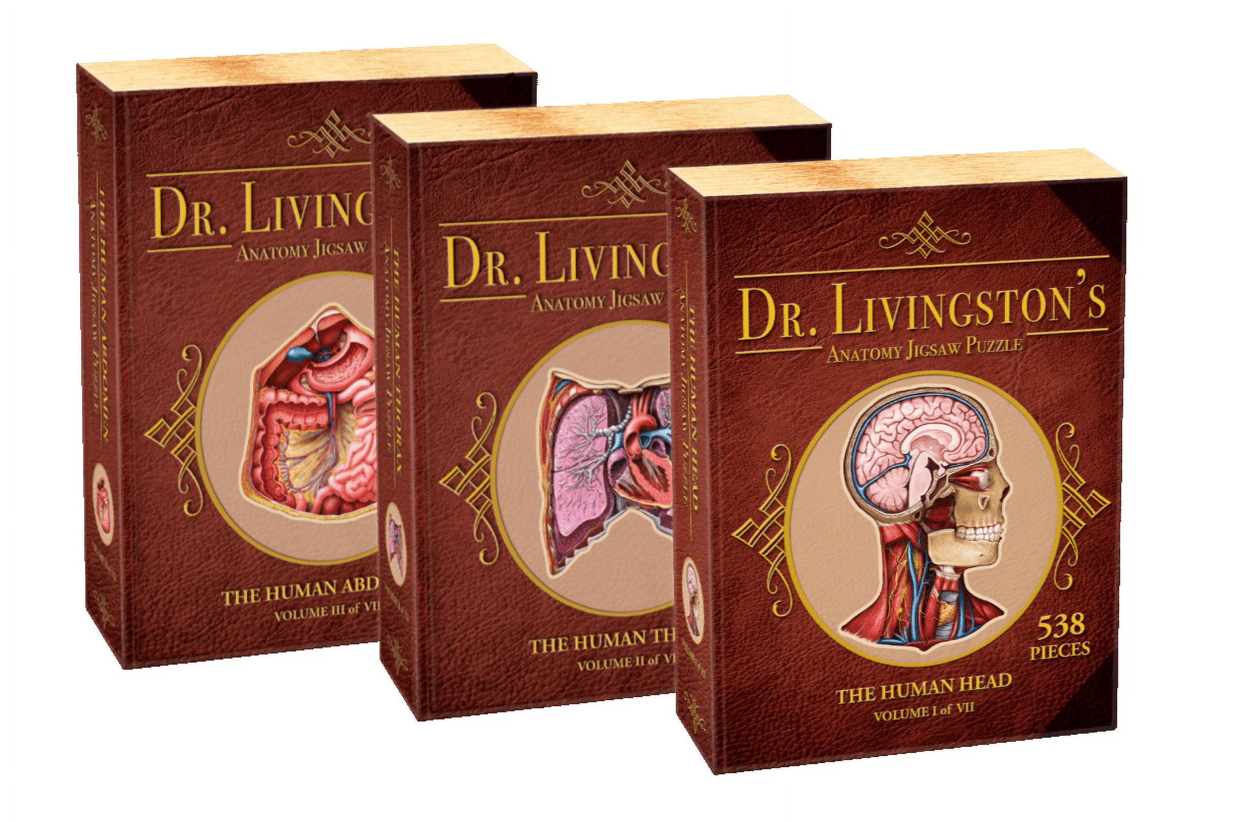 Human Thorax Anatomy Jigsaw Puzzle | Dr Livingston's Unique Shaped Science Puzzles, Accurate Medical Illustrations of the Body, Organs, Lungs and Heart