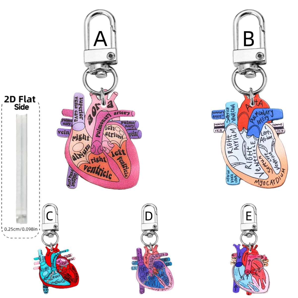 Nurse Theme Letter Anatomical Heart Diagram Keychain Doctors Prefer Key Ring