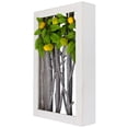 thumbnail image 6 of Northlight Lemon Tree Birch Branch Framed Wall Art - 14.5" x 9" - White and Green, 6 of 8